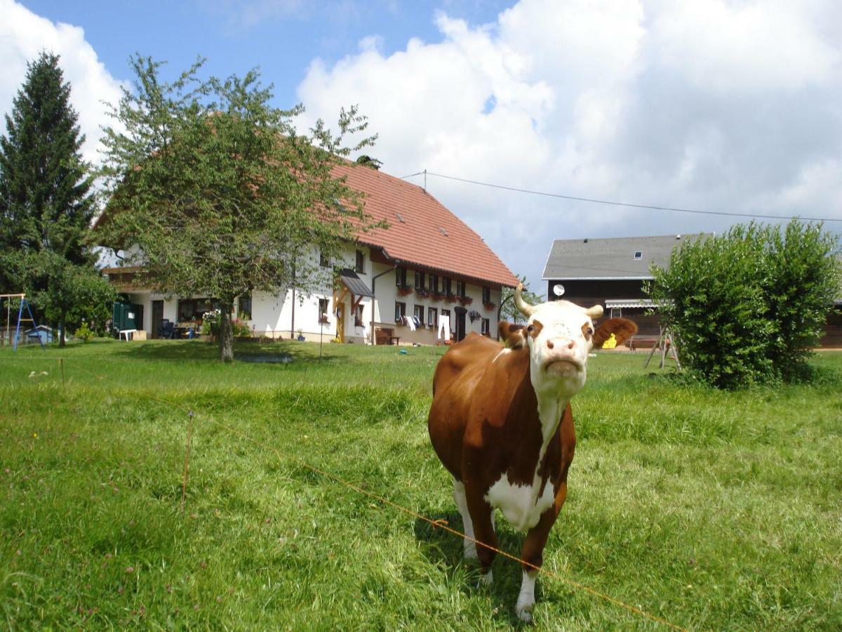 Ferienhaus Ehinger Apartman Breitnau Kültér fotó