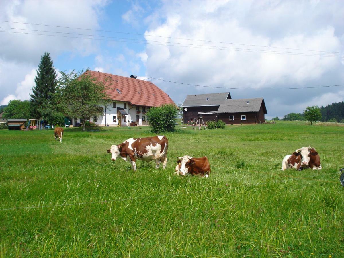 Ferienhaus Ehinger Apartman Breitnau Kültér fotó