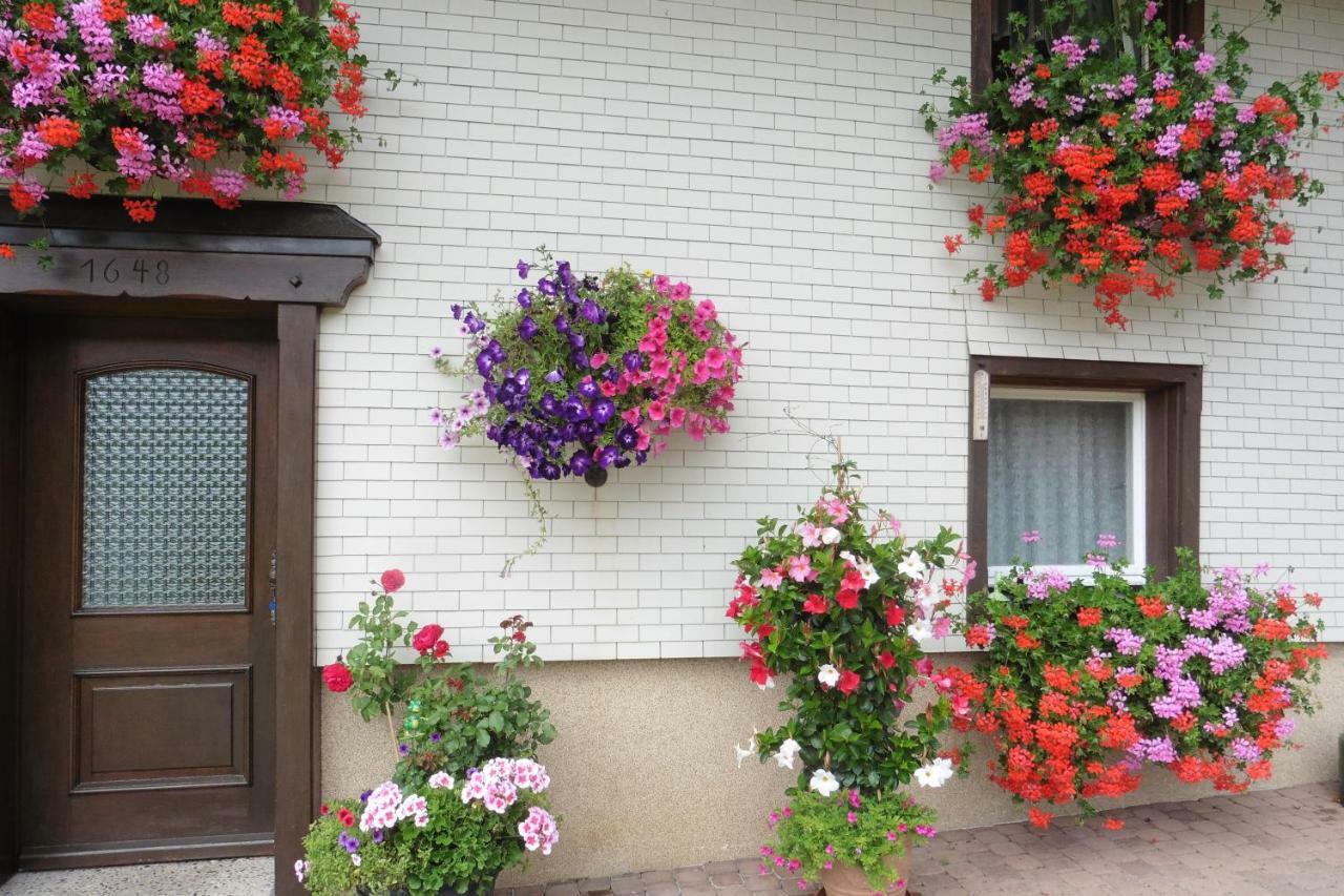 Ferienhaus Ehinger Apartman Breitnau Kültér fotó